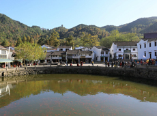 Tour in Jiuhua Street